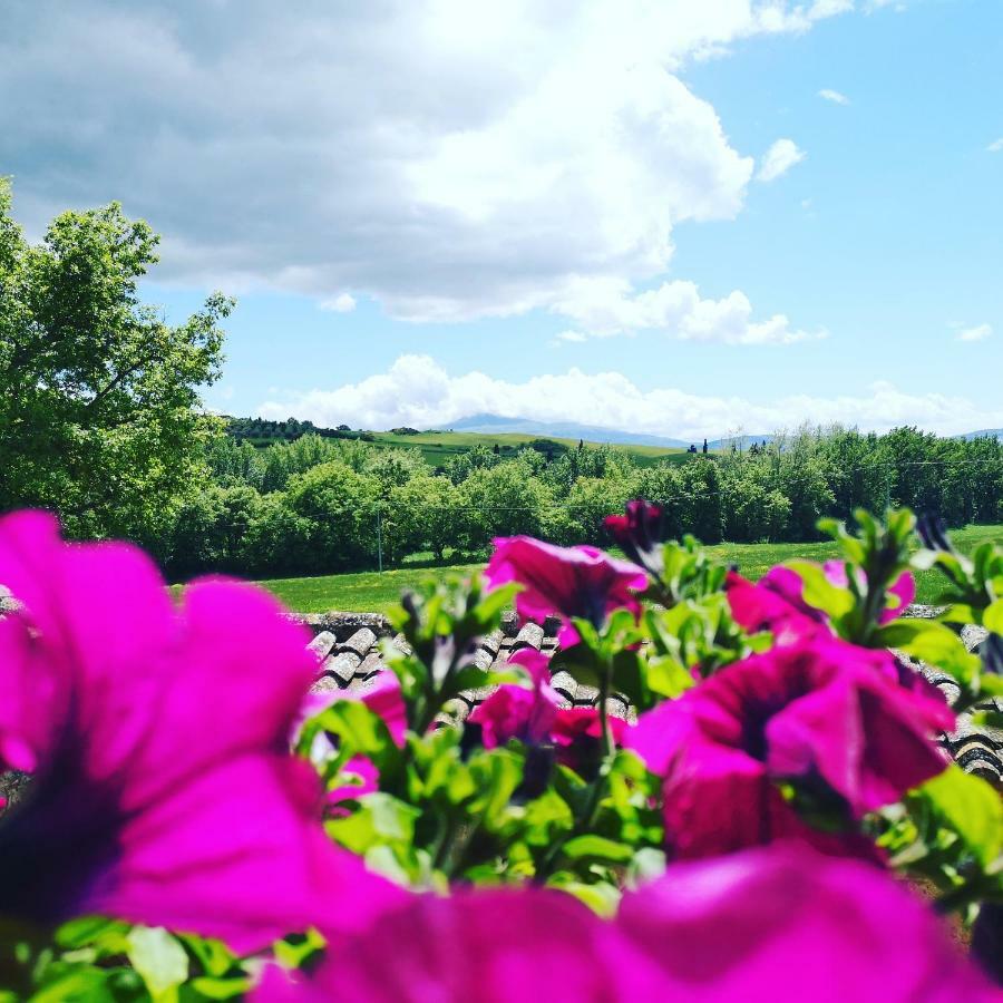 Agriturismo Casalpiano Пиенца Экстерьер фото
